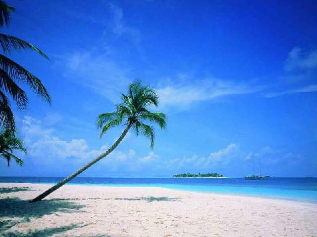 Kerala tour operator, kerala travel, tour packages Kerala,south India tour taxi service Chennai,Kerala tours,travel agence in kerala.