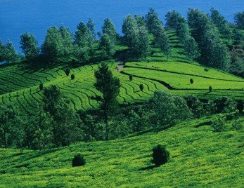 Kerala tourism,Kerala tours,Kerala travel,tour operators in Kerala,Kerala tour operator,Kerala travel agent.