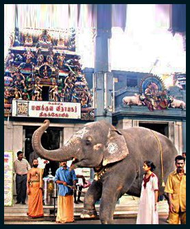 Pondicherry travel agency,Pondicherry travel package,Pondicherry travel,Pondicherry tour  operator,south India tour operator  Pondicherry.