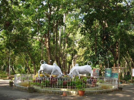 Pondicherry travel agency,Pondicherry travel package,Pondicherry travel,Pondicherry tour  operator,south India tour operator  Pondicherry.