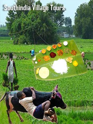 South India tour packages,south India package tours,south India travel package,Kerala tourism,Kerala tours,Kerala taxi service